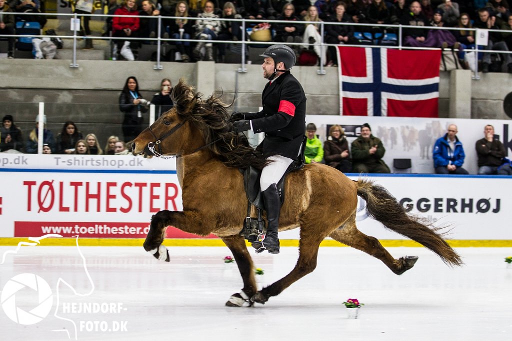 AHEJ5114.jpg