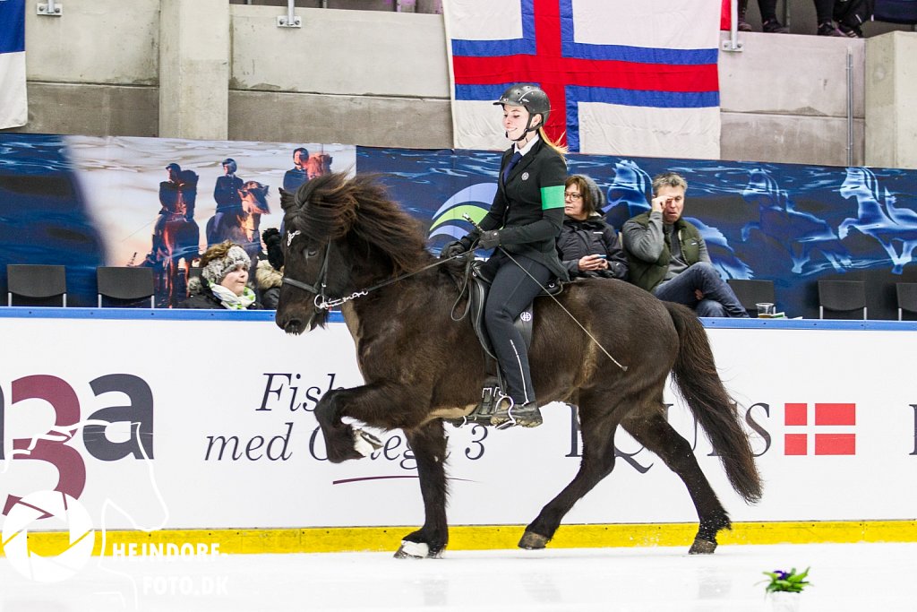 AHEJ5146.jpg