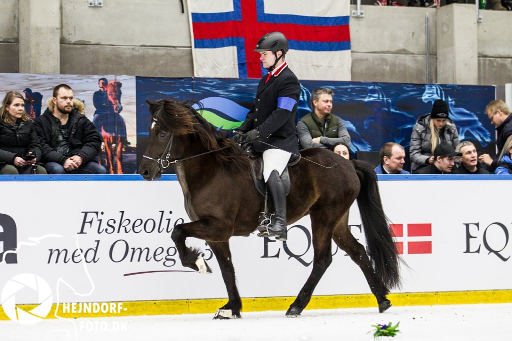 AHEJ6116.jpg