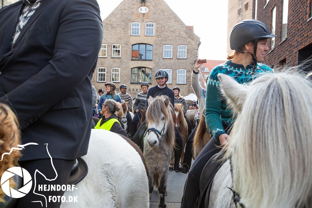 AHEJ5960.jpg