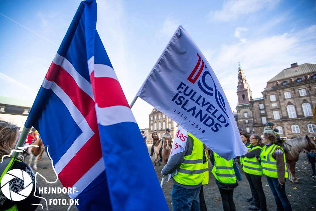 AHEJ5495.jpg