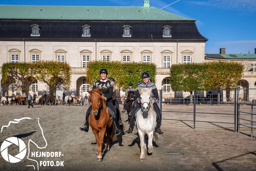 AHEJ5527.jpg