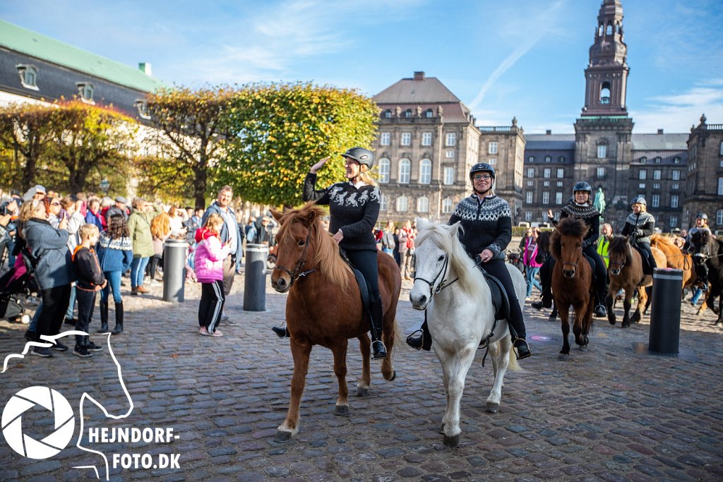 AHEJ5630.jpg