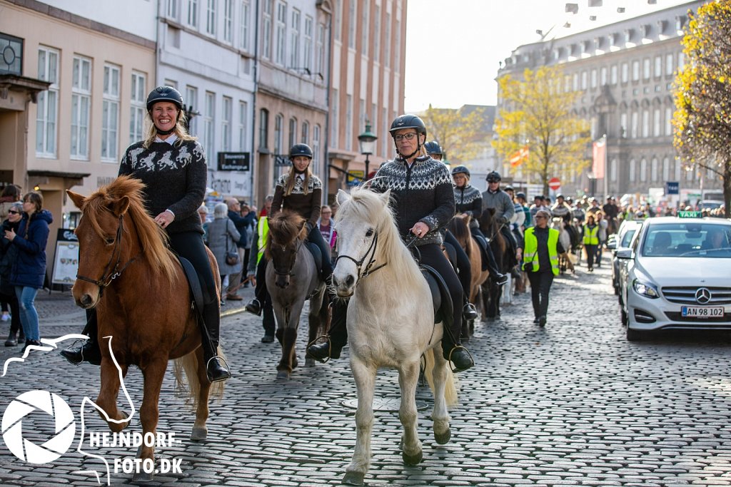 AHEJ5657.jpg